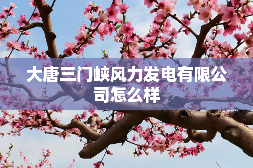 大唐三门峡风力发电有限公司怎么样