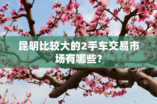 昆明比较大的2手车交易市场有哪些？