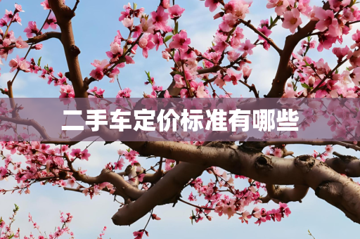 二手车定价标准有哪些