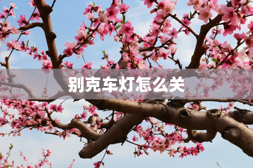 别克车灯怎么关