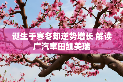 诞生于寒冬却逆势增长 解读广汽丰田凯美瑞