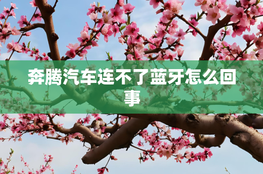 奔腾汽车连不了蓝牙怎么回事