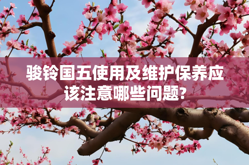 骏铃国五使用及维护保养应该注意哪些问题?