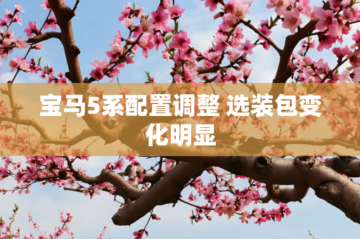 宝马5系配置调整 选装包变化明显