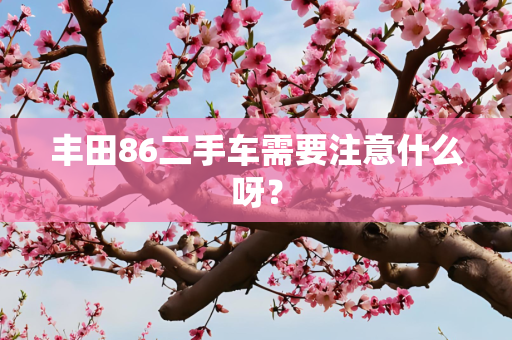丰田86二手车需要注意什么呀？