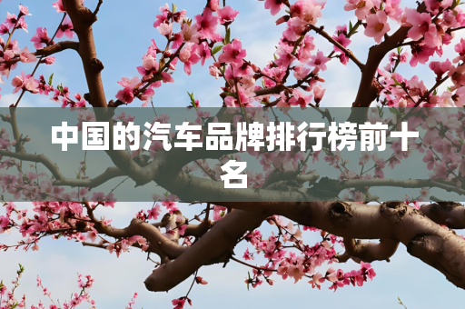 中国的汽车品牌排行榜前十名