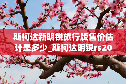 斯柯达新明锐旅行版售价估计是多少_斯柯达明锐rs2023落地价