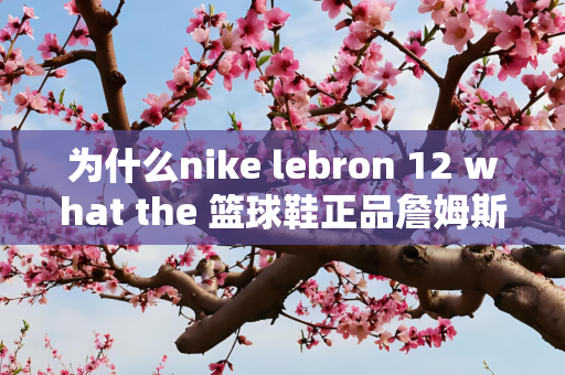 为什么nike lebron 12 what the 篮球鞋正品詹姆斯12代鸳鸯在耐克官网上没有