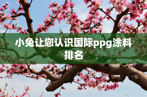 小兔让您认识国际ppg涂料排名