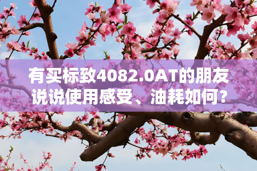 有买标致4082.0AT的朋友说说使用感受、油耗如何？