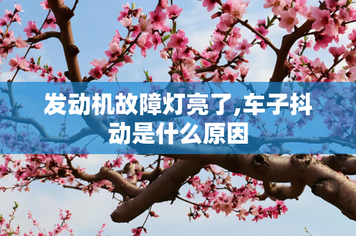 发动机故障灯亮了,车子抖动是什么原因