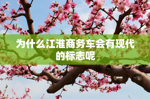 为什么江淮商务车会有现代的标志呢