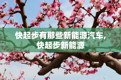快起步有那些新能源汽车,快起步新能源