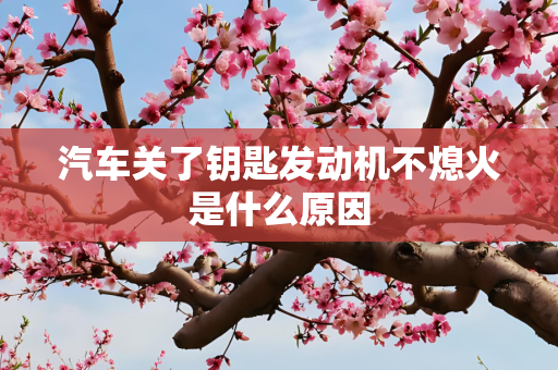 汽车关了钥匙发动机不熄火是什么原因