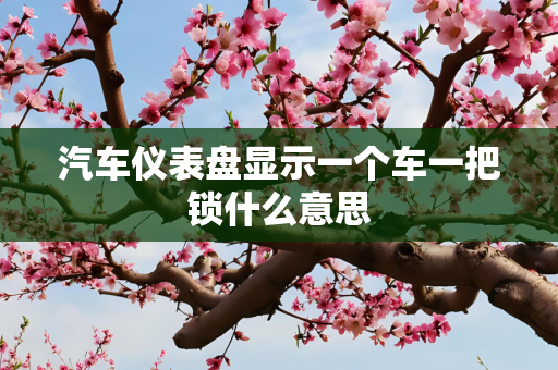 汽车仪表盘显示一个车一把锁什么意思