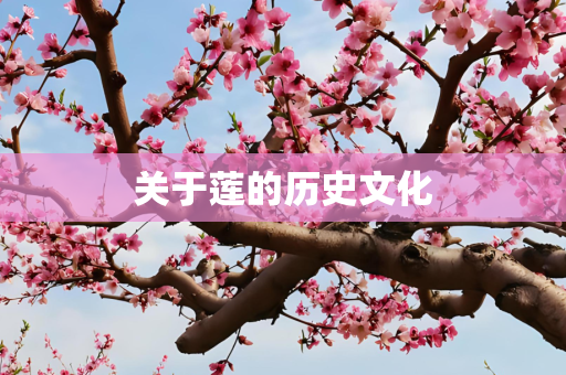 关于莲的历史文化