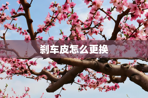 刹车皮怎么更换
