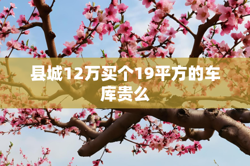 县城12万买个19平方的车库贵么
