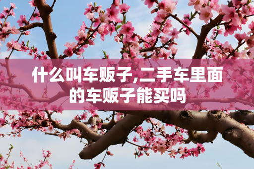 什么叫车贩子,二手车里面的车贩子能买吗