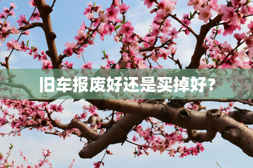 旧车报废好还是买掉好？