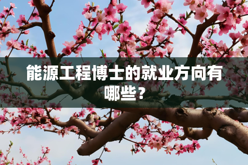 能源工程博士的就业方向有哪些？