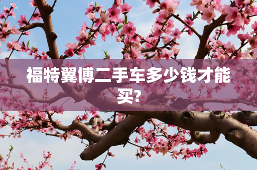 福特翼博二手车多少钱才能买?