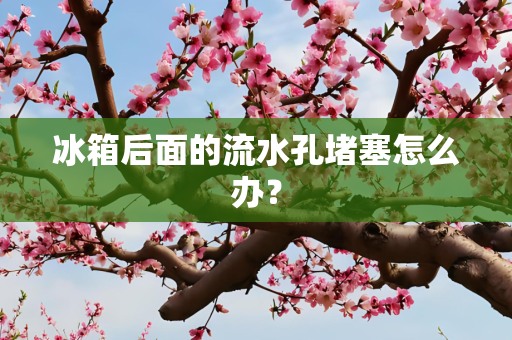 冰箱后面的流水孔堵塞怎么办？