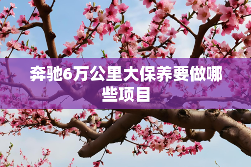 奔驰6万公里大保养要做哪些项目