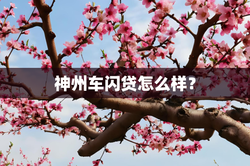 神州车闪贷怎么样？