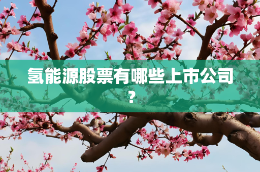 氢能源股票有哪些上市公司？