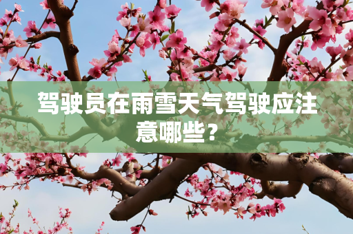 驾驶员在雨雪天气驾驶应注意哪些？