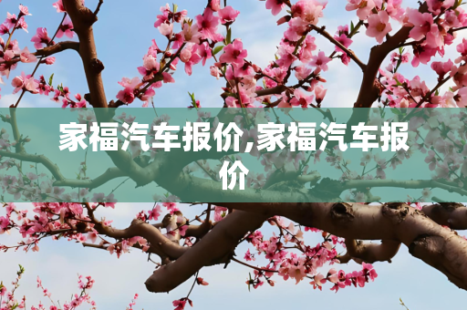 家福汽车报价,家福汽车报价