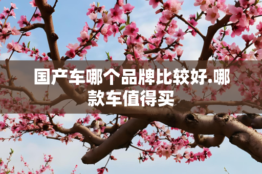 国产车哪个品牌比较好.哪款车值得买