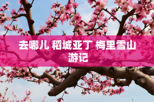 去哪儿 稻城亚丁 梅里雪山 游记