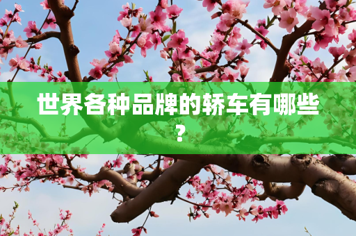 世界各种品牌的轿车有哪些？