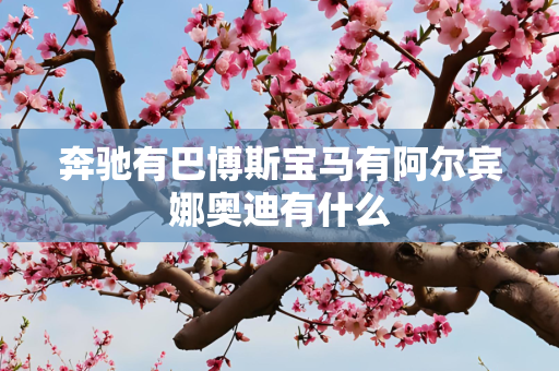 奔驰有巴博斯宝马有阿尔宾娜奥迪有什么