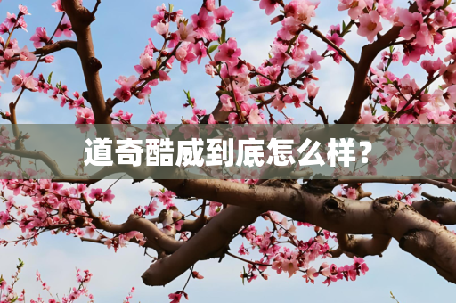 道奇酷威到底怎么样？