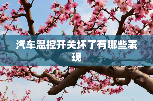 汽车温控开关坏了有哪些表现