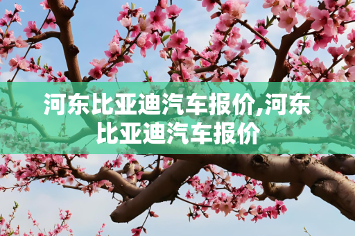 河东比亚迪汽车报价,河东比亚迪汽车报价