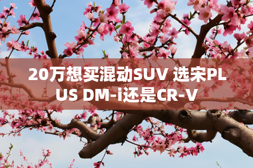 20万想买混动SUV 选宋PLUS DM-i还是CR-V