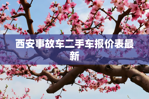 西安事故车二手车报价表最新