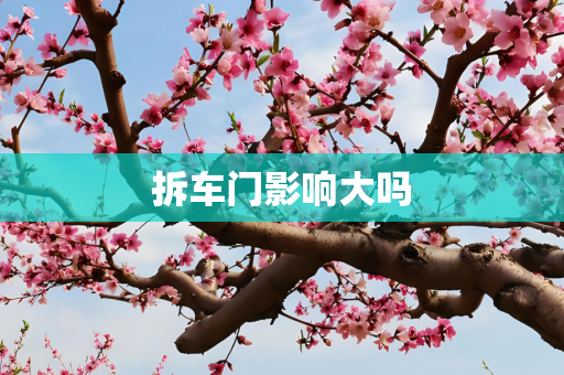 拆车门影响大吗
