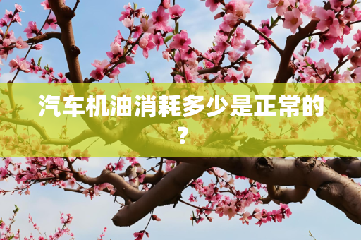汽车机油消耗多少是正常的？