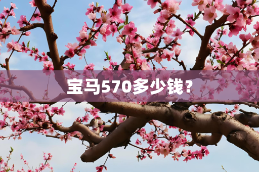 宝马570多少钱？