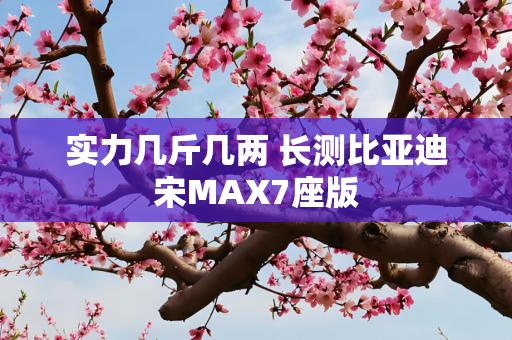 实力几斤几两 长测比亚迪宋MAX7座版