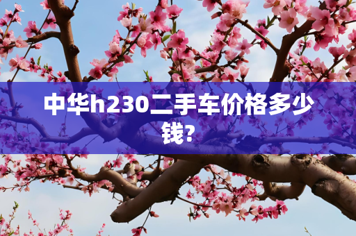 中华h230二手车价格多少钱?