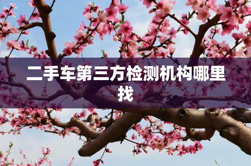 二手车第三方检测机构哪里找