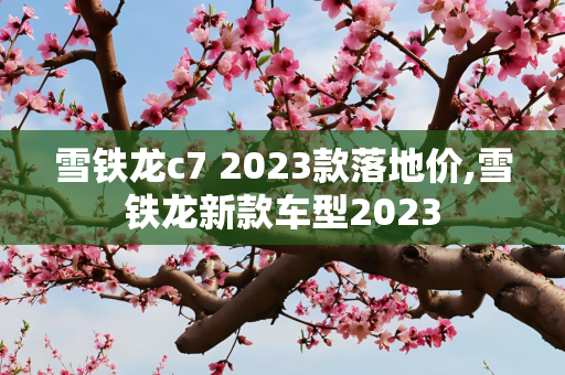 雪铁龙c7 2023款落地价,雪铁龙新款车型2023