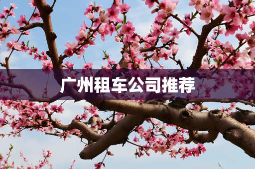 广州租车公司推荐