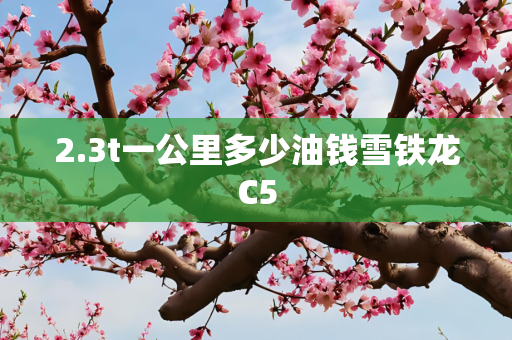2.3t一公里多少油钱雪铁龙C5